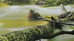 National Committee for the New River