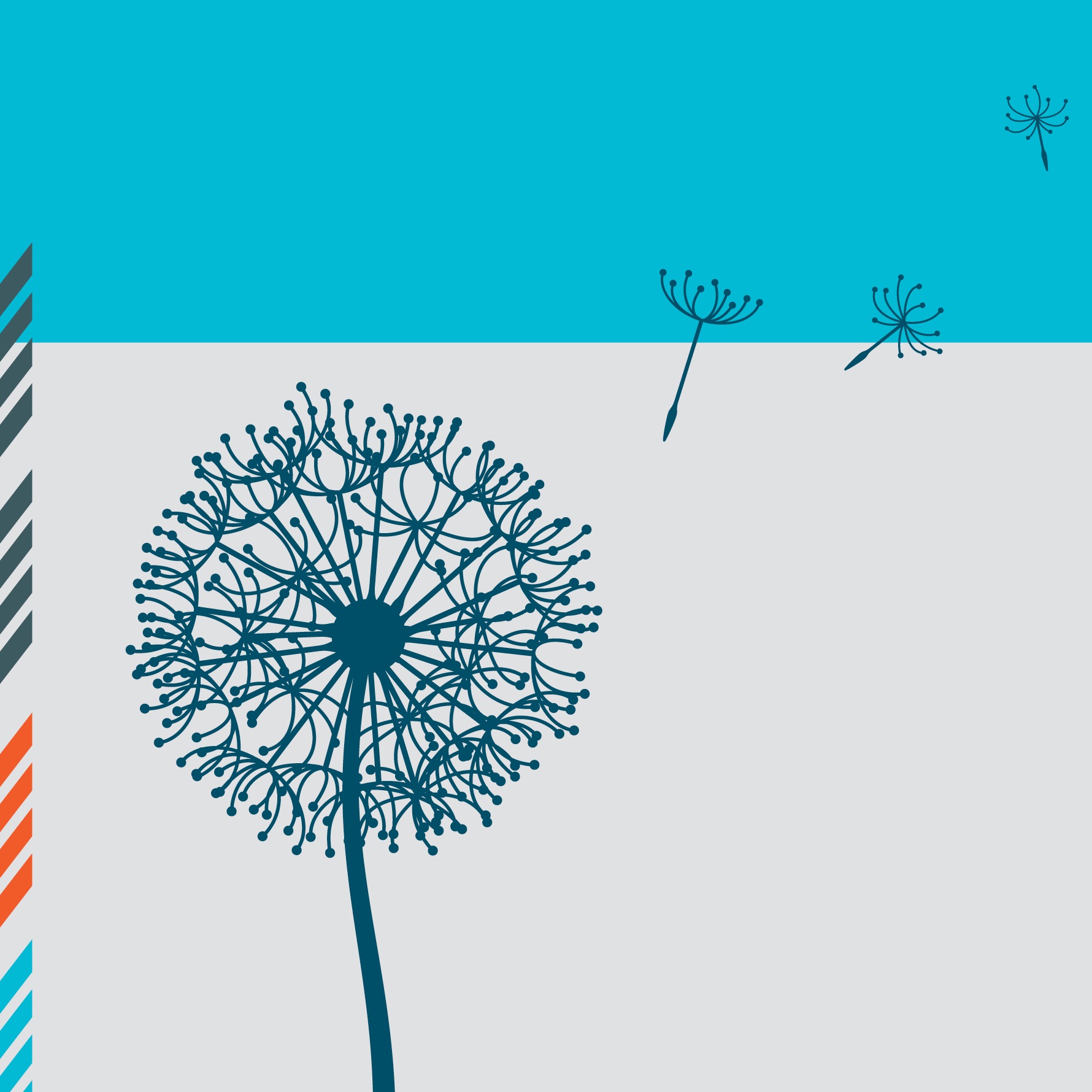 Dandelion graphic illustration