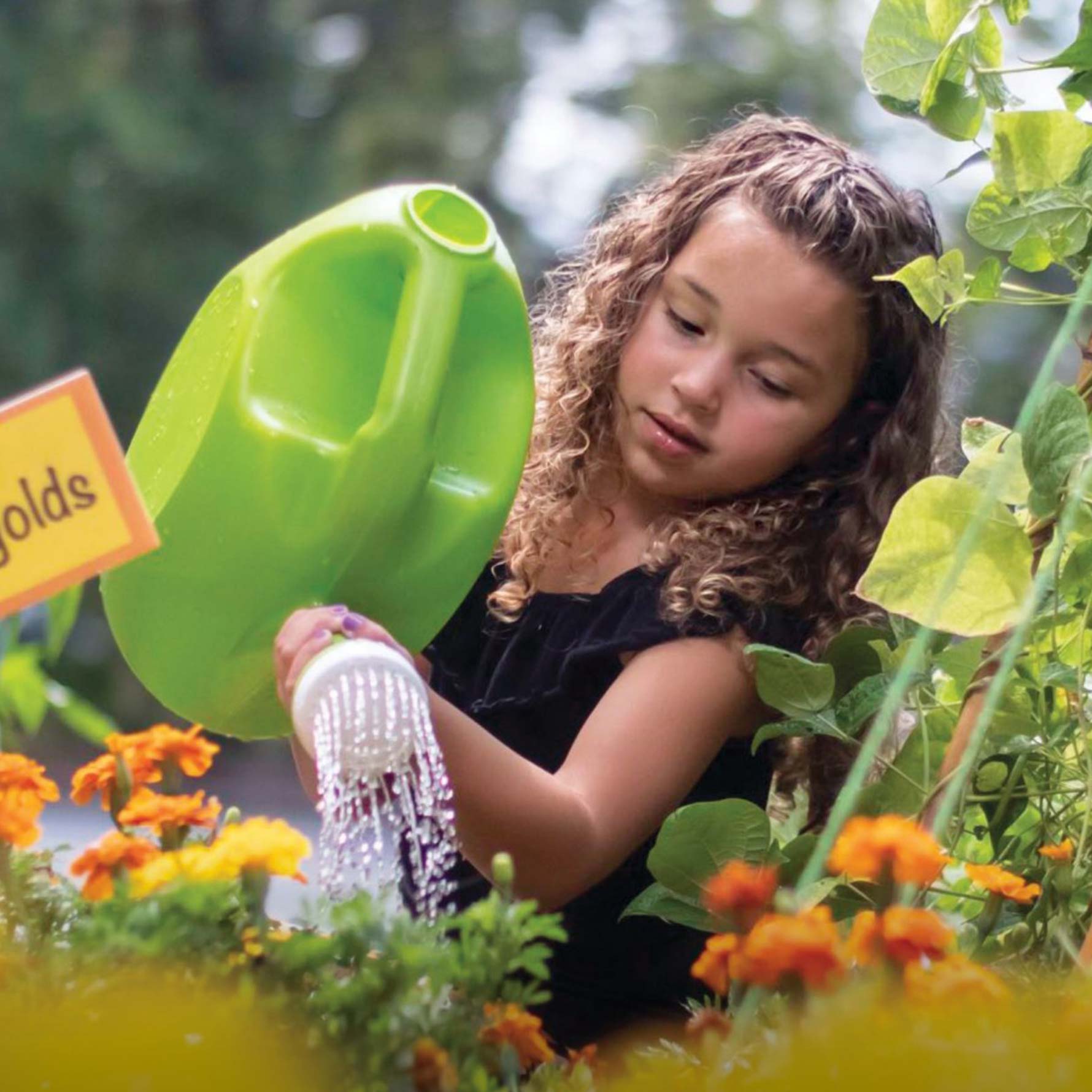 Little girl in Pre-K watering flowers