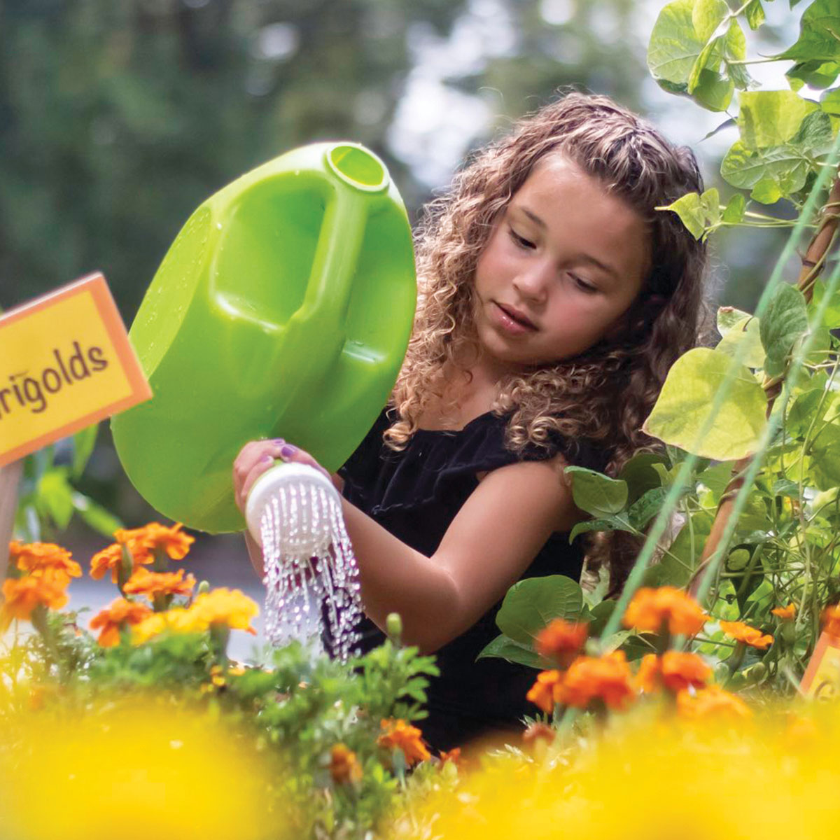 Little girl in Pre-K watering flowers